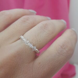 Anillo Susan (elastizado)